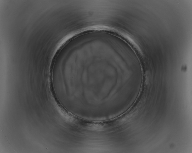 X0000092321229200710121516
