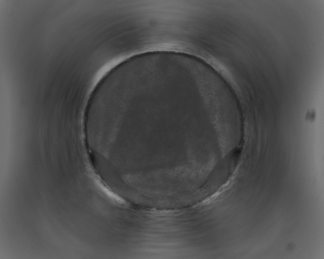 X0000092321230200710121516