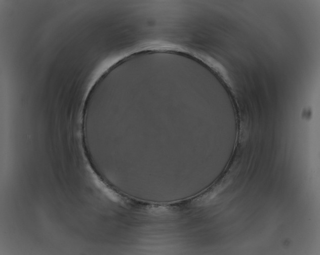 X0000092321231200710121516
