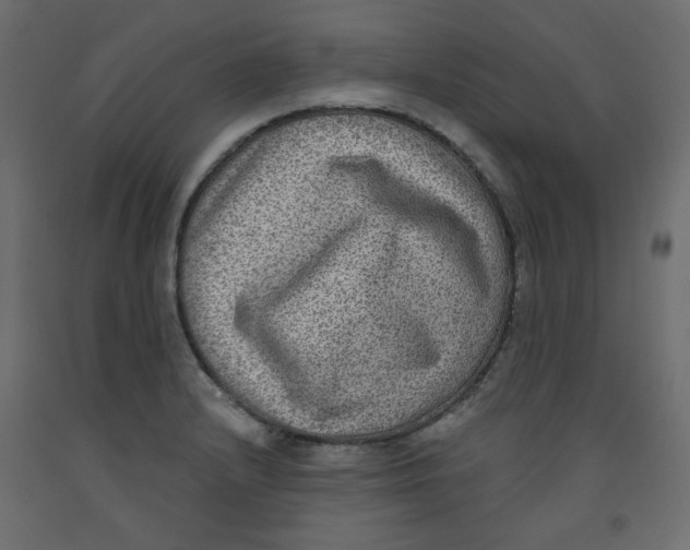X0000092321232200710121516