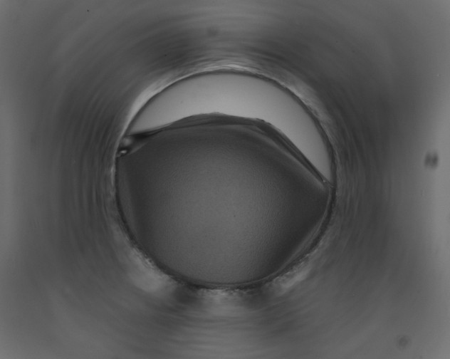 X0000092321234200710121516