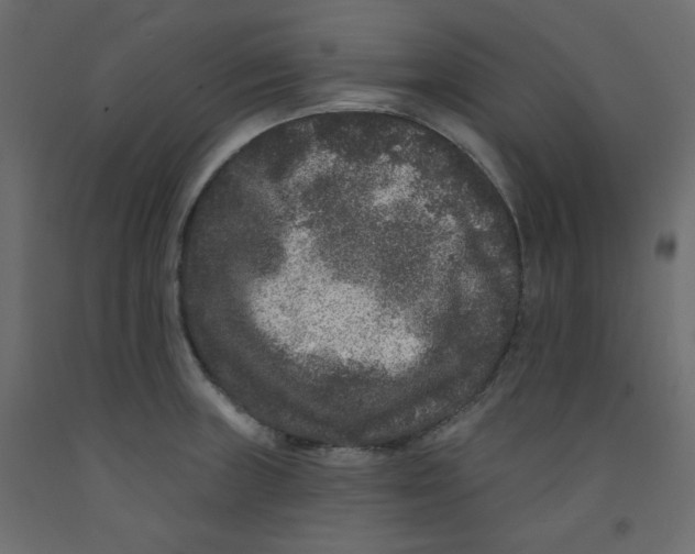 X0000092321235200710121516