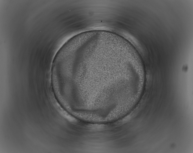 X0000092321236200710121516