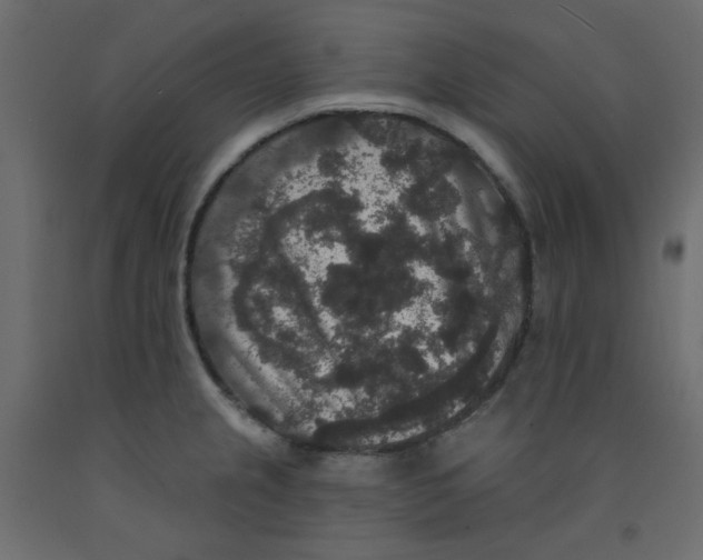 X0000092321237200710121516