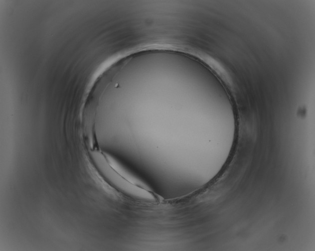 X0000092321238200710121516