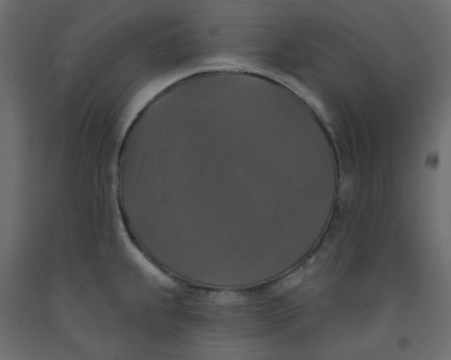 X0000092321239200710121516