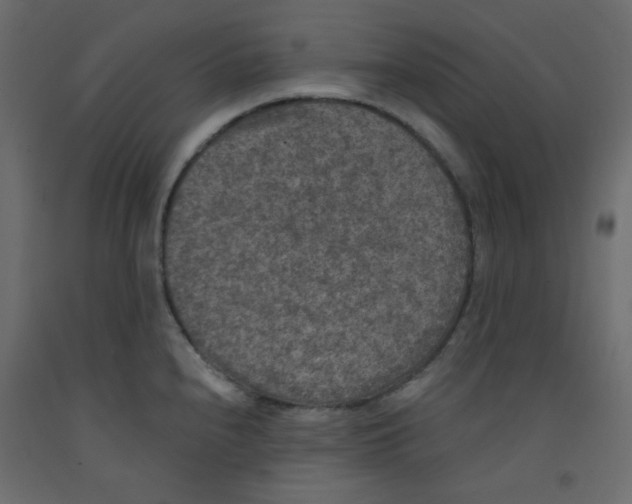 X0000092321240200710121516