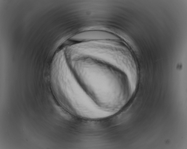 X0000092321241200710121516