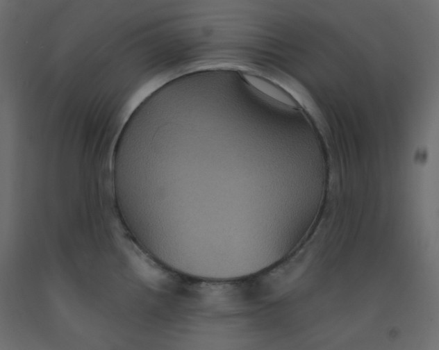 X0000092321242200710121516