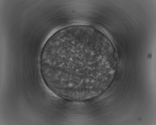 X0000092321243200710121516