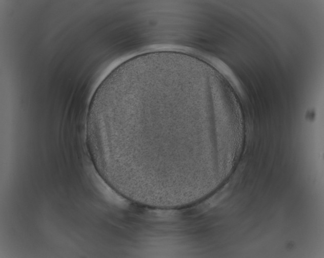 X0000092321244200710121516