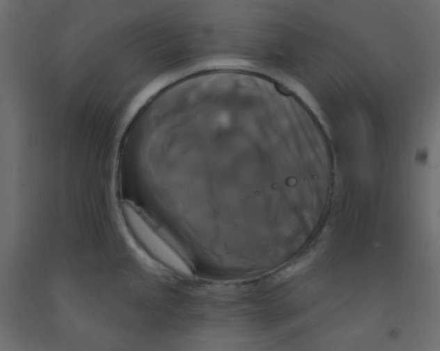 X0000092321245200710121516