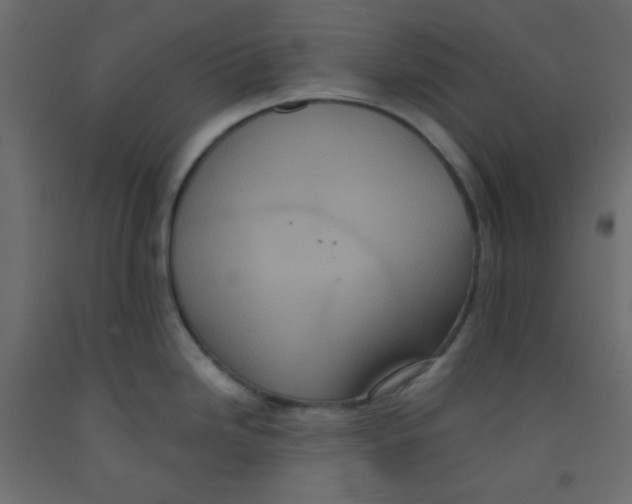 X0000092321246200710121516