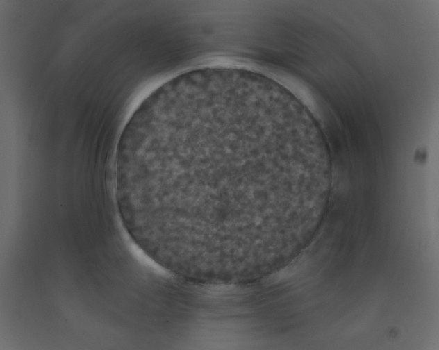 X0000092321247200710121516