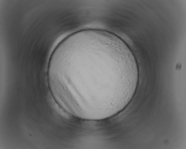 X0000092321248200710121516