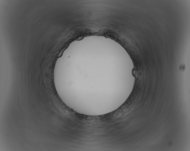 X0000092321249200710121516