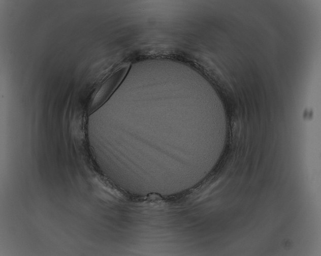 X0000092321250200710121515