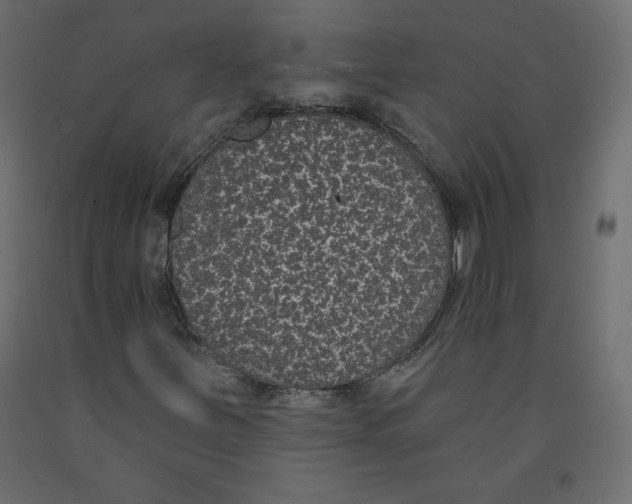X0000092321251200710121515