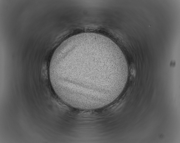 X0000092321252200710121515