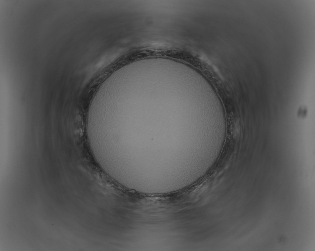 X0000092321253200710121515