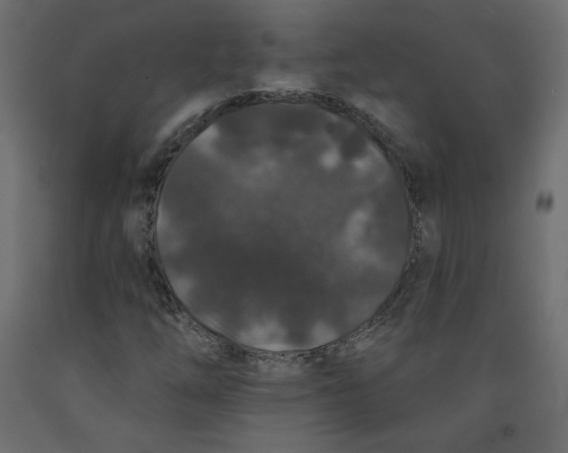 X0000092321254200710121515