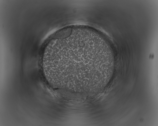 X0000092321255200710121515