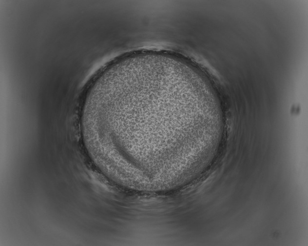 X0000092321256200710121515