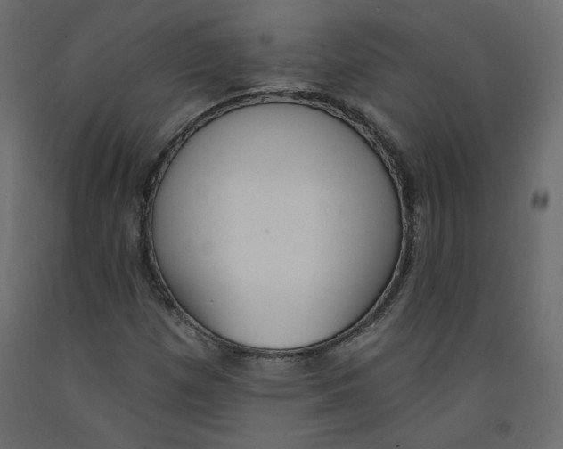 X0000092321257200710121515