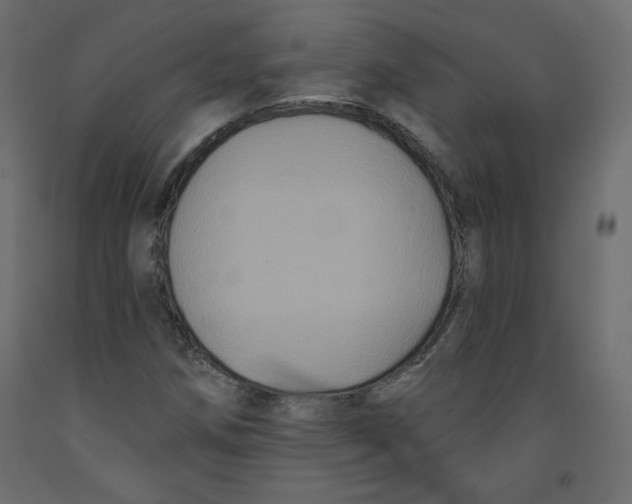 X0000092321258200710121515