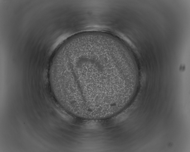X0000092321259200710121515