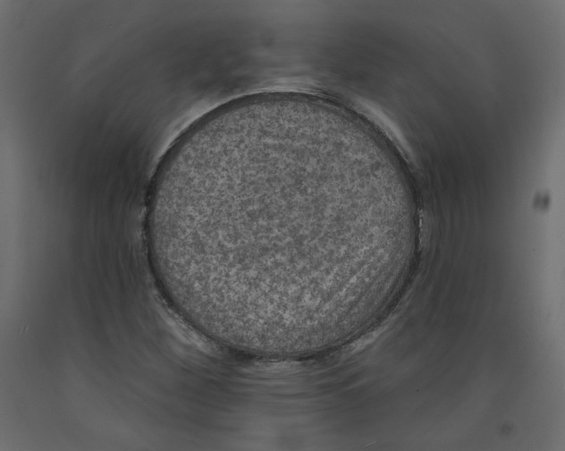 X0000092321260200710121515