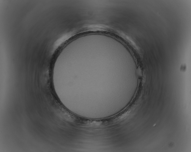 X0000092321261200710121515