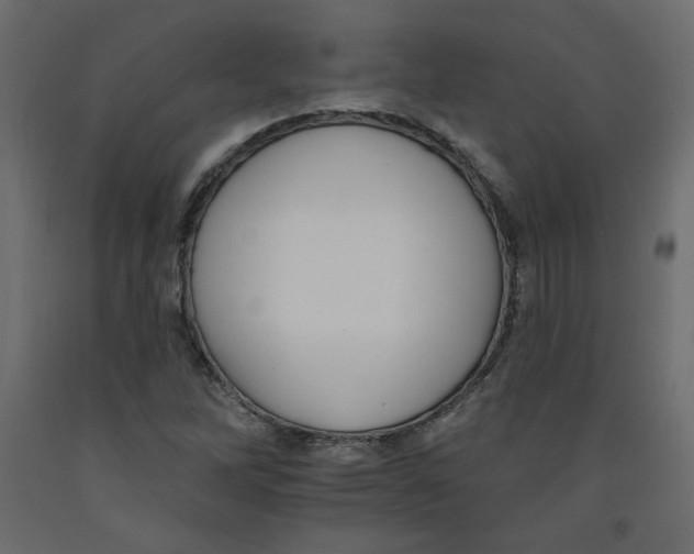 X0000092321262200710121515