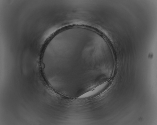 X0000092321263200710121515