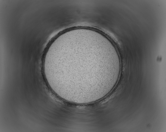 X0000092321264200710121515