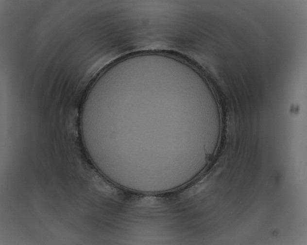 X0000092321265200710121515