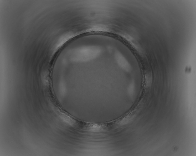X0000092321266200710121515