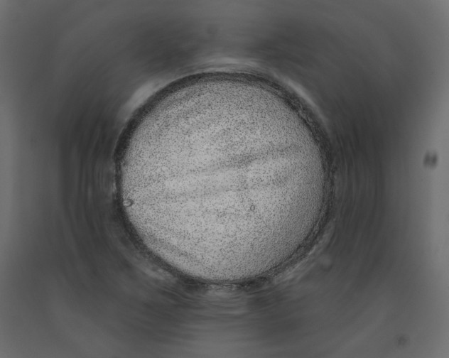 X0000092321267200710121515