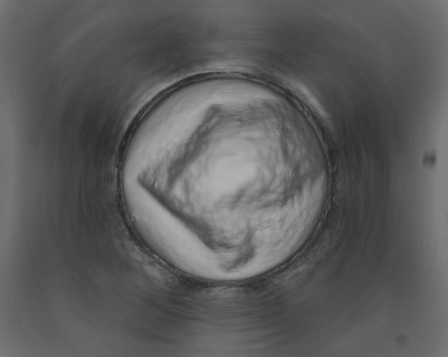 X0000092321268200710121515