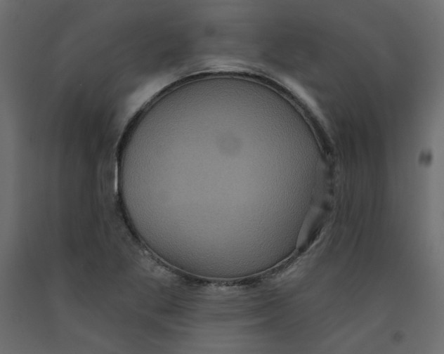 X0000092321269200710121515