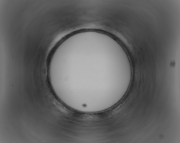 X0000092321270200710121515