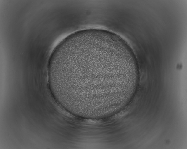 X0000092321271200710121515
