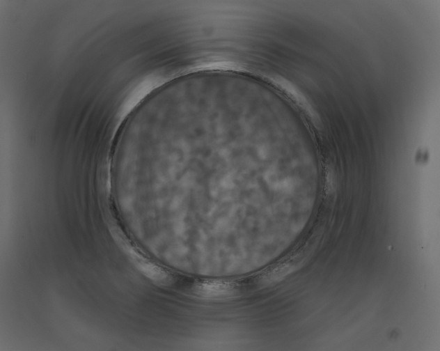 X0000092321274200710121515