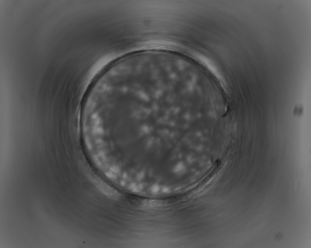X0000092321275200710121515