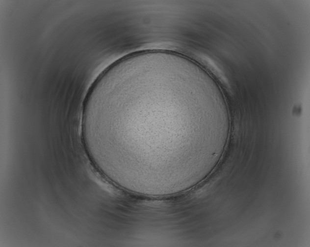 X0000092321276200710121515