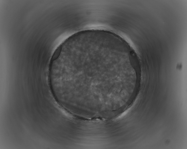 X0000092321277200710121515