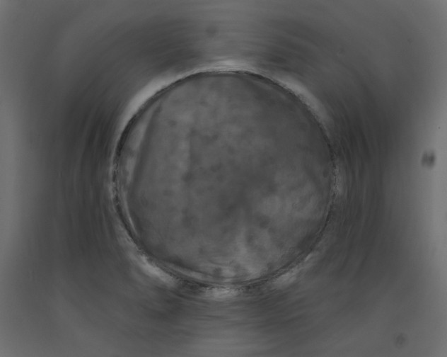 X0000092321278200710121515