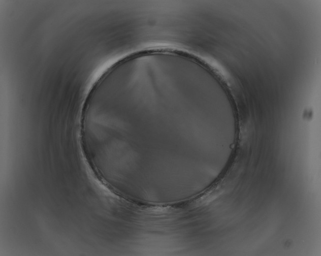 X0000092321279200710121515