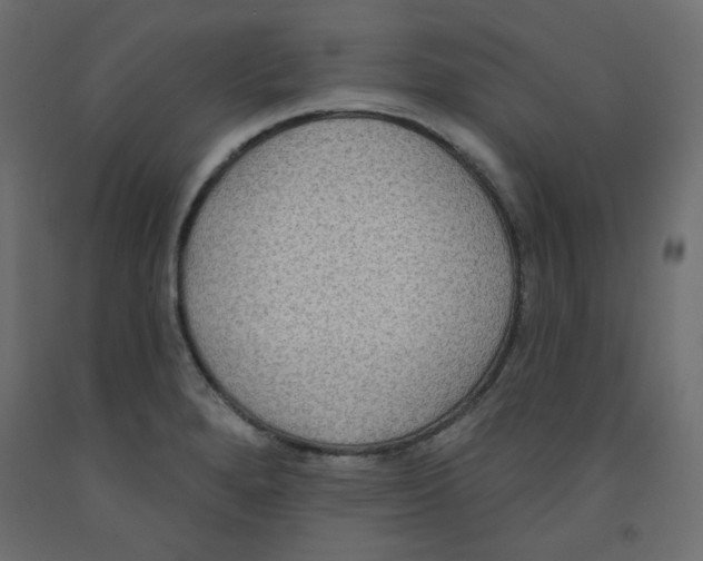 X0000092321280200710121515