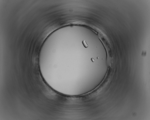 X0000092321281200710121515